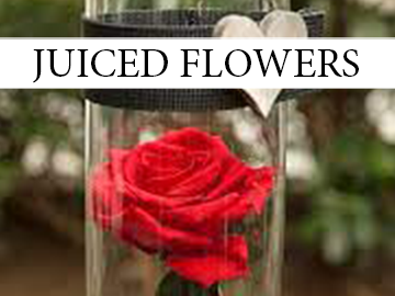 6 ΑΠΟΧΥΜΟΜΕΝΑ